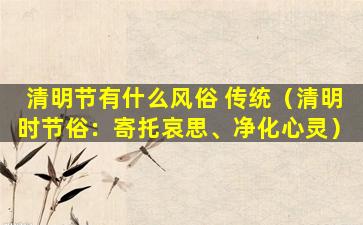 清明节有什么风俗 传统（清明时节俗：寄托哀思、净化心灵）